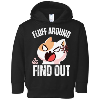 Fluff Around And Find Out Funny Sarcastic Cat Lady Toddler Hoodie