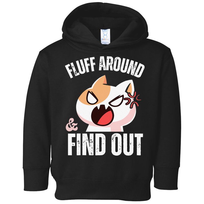 Fluff Around And Find Out Funny Sarcastic Cat Lady Toddler Hoodie