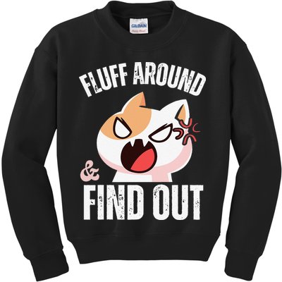Fluff Around And Find Out Funny Sarcastic Cat Lady Kids Sweatshirt