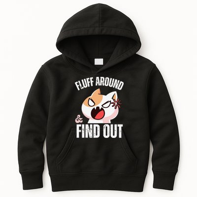 Fluff Around And Find Out Funny Sarcastic Cat Lady Kids Hoodie