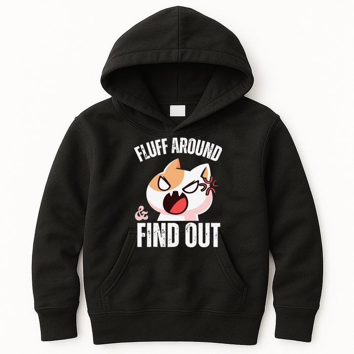 Fluff Around And Find Out Funny Sarcastic Cat Lady Kids Hoodie