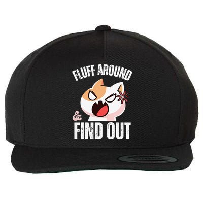 Fluff Around And Find Out Funny Sarcastic Cat Lady Wool Snapback Cap