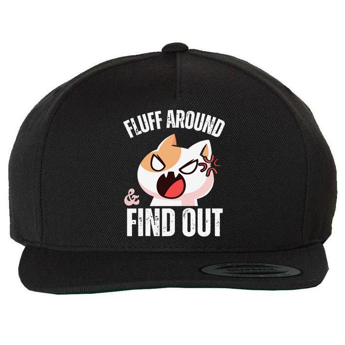 Fluff Around And Find Out Funny Sarcastic Cat Lady Wool Snapback Cap