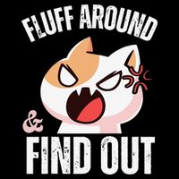 Fluff Around And Find Out Funny Sarcastic Cat Lady Wool Snapback Cap