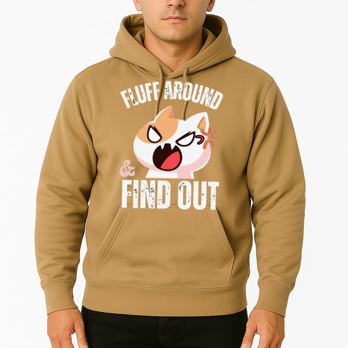 Fluff Around And Find Out Funny Sarcastic Cat Lady Hoodie
