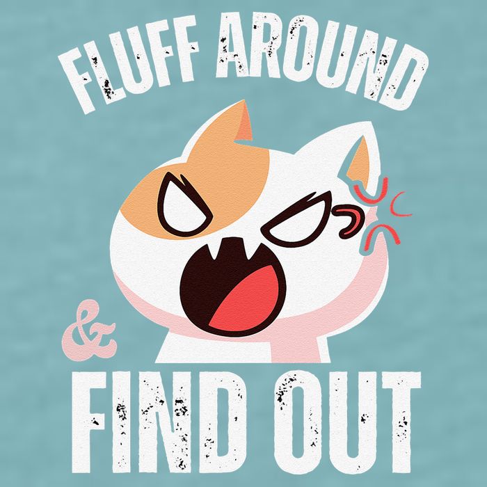 Fluff Around And Find Out Funny Sarcastic Cat Lady Sueded Cloud Jersey T-Shirt