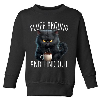 Fluff Around And Find Out Funny Cat Adult Humor Toddler Sweatshirt