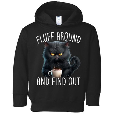 Fluff Around And Find Out Funny Cat Adult Humor Toddler Hoodie