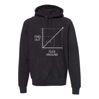 Fuck Around And Find Out Funny Graph Chart Joke Math Premium Hoodie