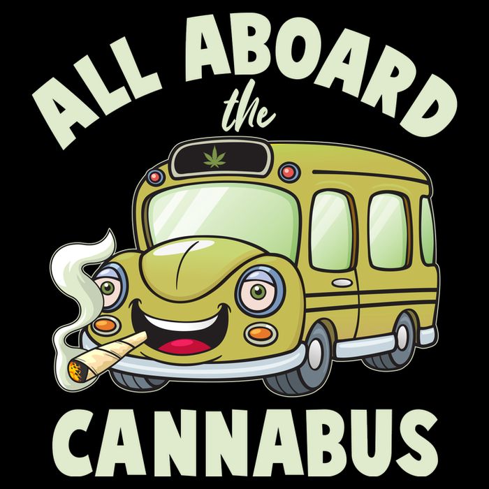Funny All Aboard The Cannabus Wool Snapback Cap