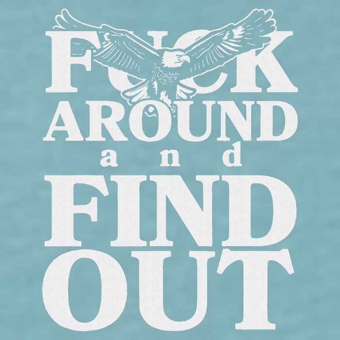 Fuck Around And Find Out Eagle Sueded Cloud Jersey T-Shirt