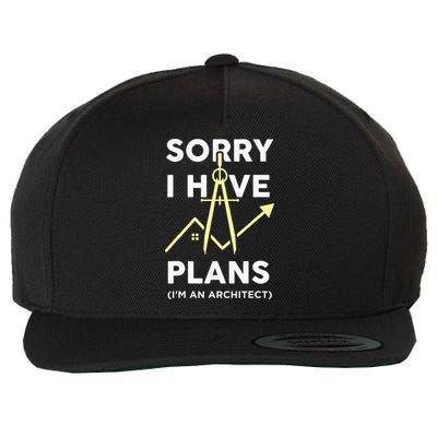 Funny Architect Art Wo Architecture Student Lover Wool Snapback Cap