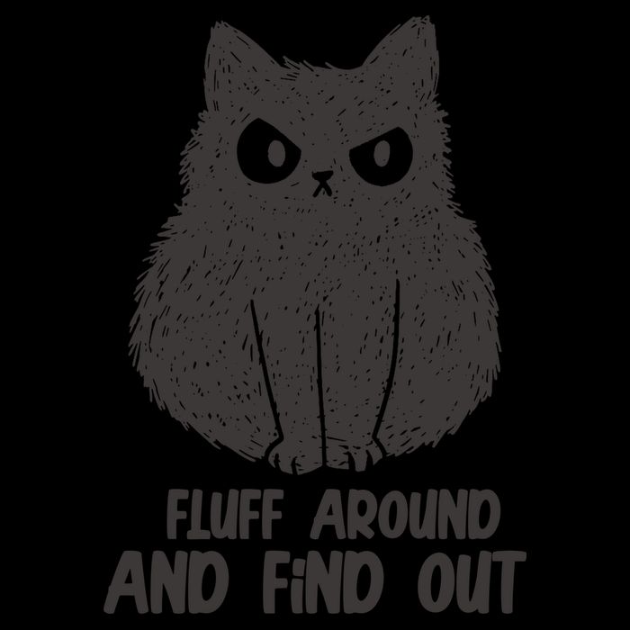 Fluff Around And Find Out Funny Cat Lover 16oz Travel Tumbler