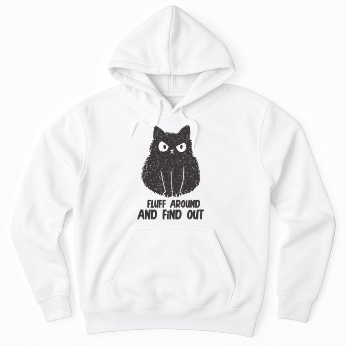Fluff Around And Find Out Funny Cat Lover Hoodie