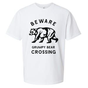 Funny Attitude Beware Grumpy Bear Crossing Dad Gift Sueded Cloud Jersey T-Shirt