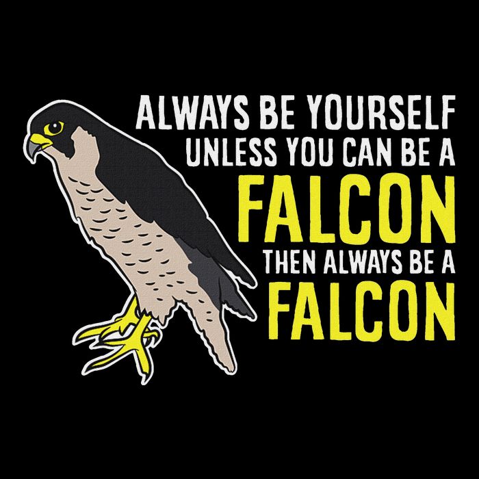 F.A.L.C.O.N.S Always Be Yourself Unless You Can Be A Falcon Bird 7-Panel Snapback Hat