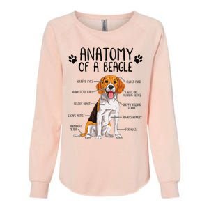 Funny Anatomy Beagle Dog Owner Pet Lover Womens California Wash Sweatshirt