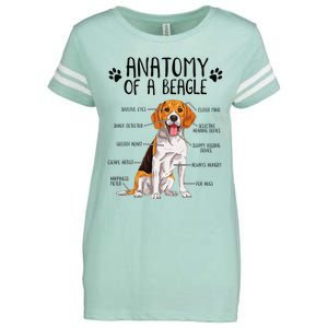 Funny Anatomy Beagle Dog Owner Pet Lover Enza Ladies Jersey Football T-Shirt