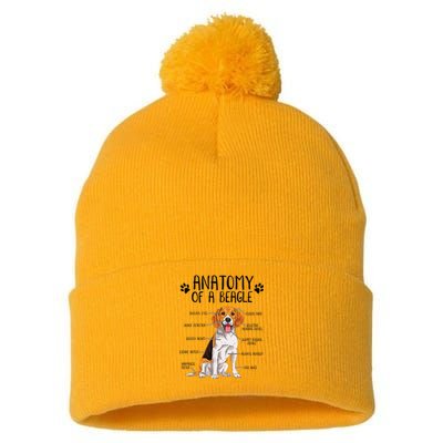 Funny Anatomy Beagle Dog Owner Pet Lover Pom Pom 12in Knit Beanie