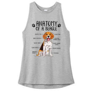 Funny Anatomy Beagle Dog Owner Pet Lover Ladies PosiCharge Tri-Blend Wicking Tank