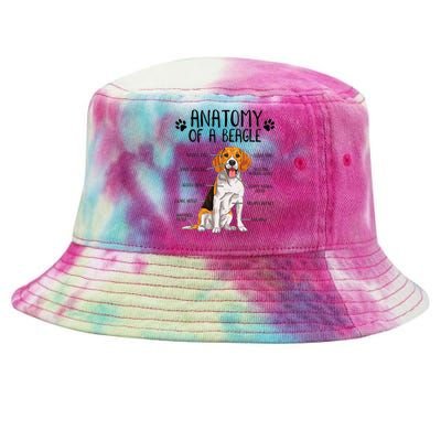 Funny Anatomy Beagle Dog Owner Pet Lover Tie-Dyed Bucket Hat