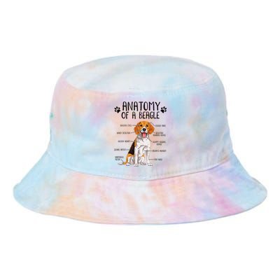 Funny Anatomy Beagle Dog Owner Pet Lover Tie Dye Newport Bucket Hat