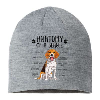 Funny Anatomy Beagle Dog Owner Pet Lover Sustainable Beanie