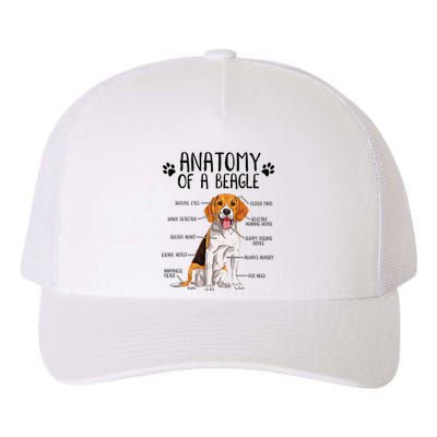 Funny Anatomy Beagle Dog Owner Pet Lover Yupoong Adult 5-Panel Trucker Hat