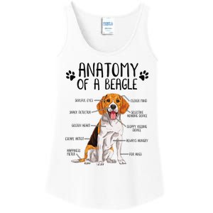 Funny Anatomy Beagle Dog Owner Pet Lover Ladies Essential Tank