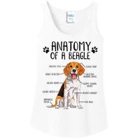 Funny Anatomy Beagle Dog Owner Pet Lover Ladies Essential Tank