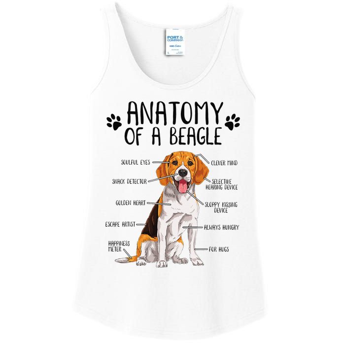 Funny Anatomy Beagle Dog Owner Pet Lover Ladies Essential Tank