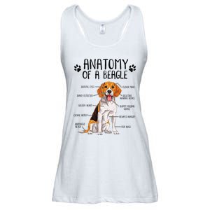 Funny Anatomy Beagle Dog Owner Pet Lover Ladies Essential Flowy Tank