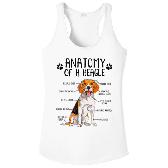 Funny Anatomy Beagle Dog Owner Pet Lover Ladies PosiCharge Competitor Racerback Tank