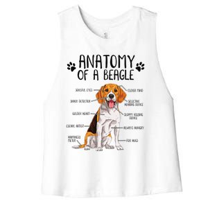 Funny Anatomy Beagle Dog Owner Pet Lover Women's Racerback Cropped Tank