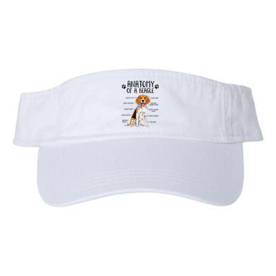 Funny Anatomy Beagle Dog Owner Pet Lover Valucap Bio-Washed Visor