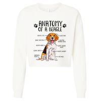 Funny Anatomy Beagle Dog Owner Pet Lover Cropped Pullover Crew