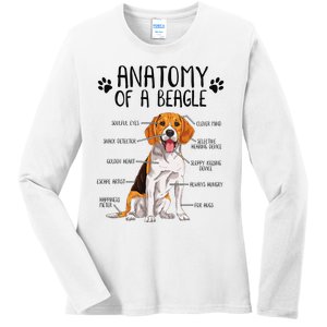 Funny Anatomy Beagle Dog Owner Pet Lover Ladies Long Sleeve Shirt