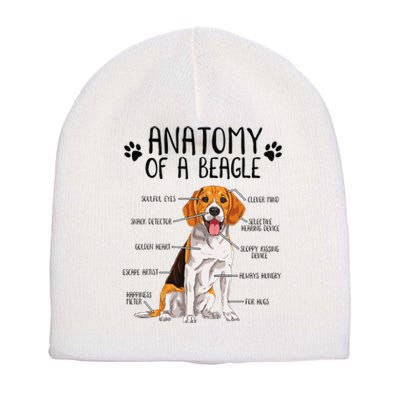 Funny Anatomy Beagle Dog Owner Pet Lover Short Acrylic Beanie