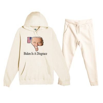 Funny Anti Biden Tee Biden Is A Disgrace Premium Hooded Sweatsuit Set