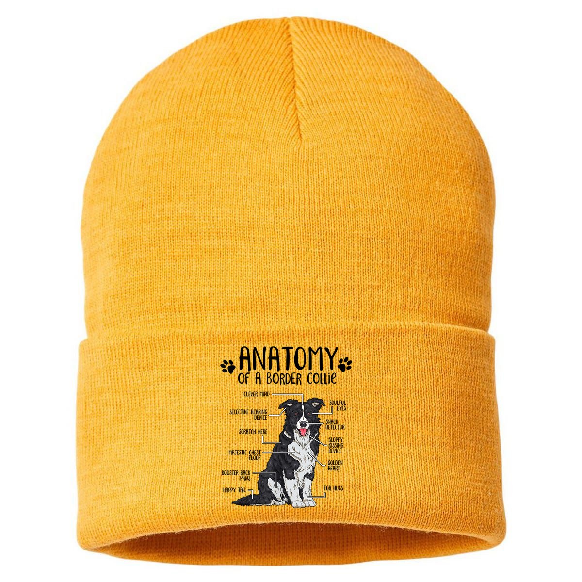 Funny Anatomy Border Collie Dog Lover Gift Sustainable Knit Beanie