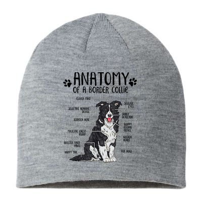 Funny Anatomy Border Collie Dog Lover Gift Sustainable Beanie