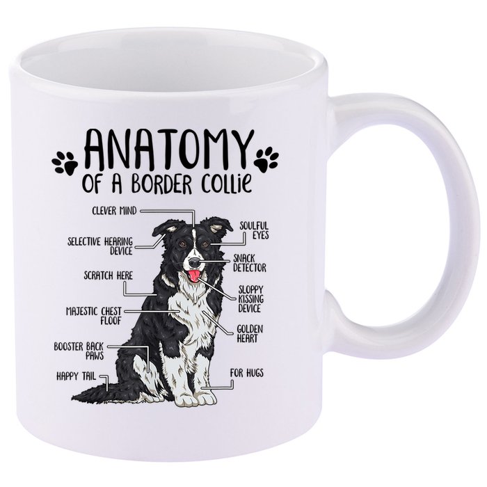 Funny Anatomy Border Collie Dog Lover Gift 11oz C Handle Ceramic Mug