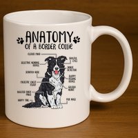 Funny Anatomy Border Collie Dog Lover Gift 11oz C Handle Ceramic Mug