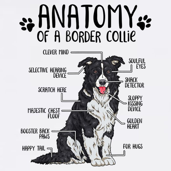 Funny Anatomy Border Collie Dog Lover Gift 11oz C Handle Ceramic Mug