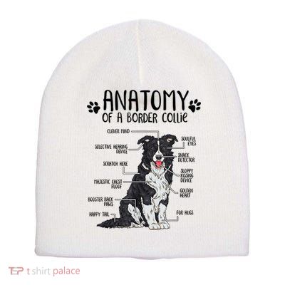 Funny Anatomy Border Collie Dog Lover Gift Short Acrylic Beanie