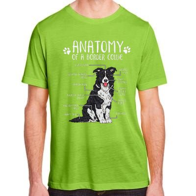 Funny Anatomy Border Collie Dog Lover Adult ChromaSoft Performance T-Shirt