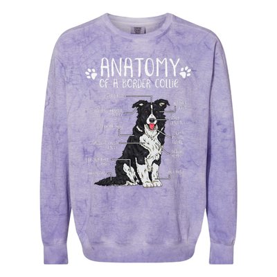 Funny Anatomy Border Collie Dog Lover Colorblast Crewneck Sweatshirt