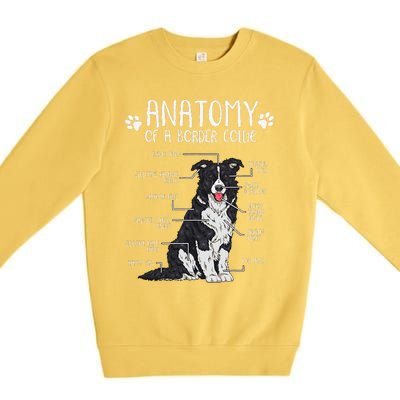 Funny Anatomy Border Collie Dog Lover Premium Crewneck Sweatshirt