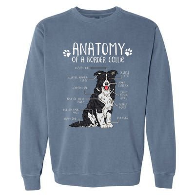 Funny Anatomy Border Collie Dog Lover Garment-Dyed Sweatshirt