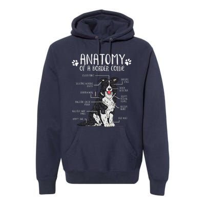 Funny Anatomy Border Collie Dog Lover Premium Hoodie